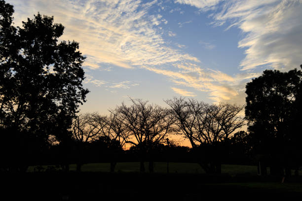 The sunset sky seen from the park was a beautiful view with the clouds dyed orange.