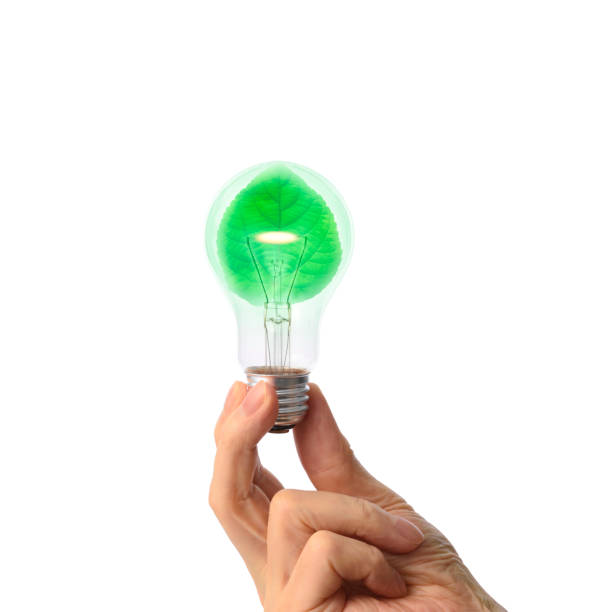 istock Isolated shot of hand holding a light bulb with a leaf against white background 1284667240