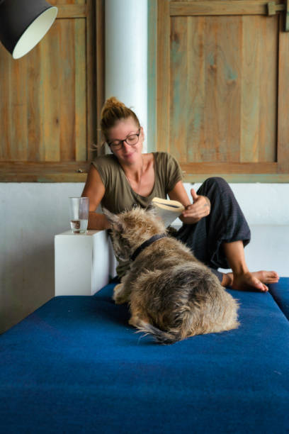 Woman relaxing at home with emotional support dog One woman is relaxing at home on the sofa reading a book.  She is stroking her pet terrier dog who is sitting in front of her. co dependent relationship stock pictures, royalty-free photos & images