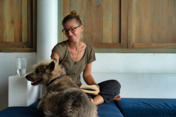 istock Happy terrier dog on sofa getting stroked by female owner 1284668183