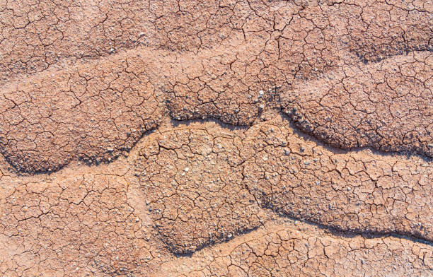 istock Dry barren cracked soil background 1284669960