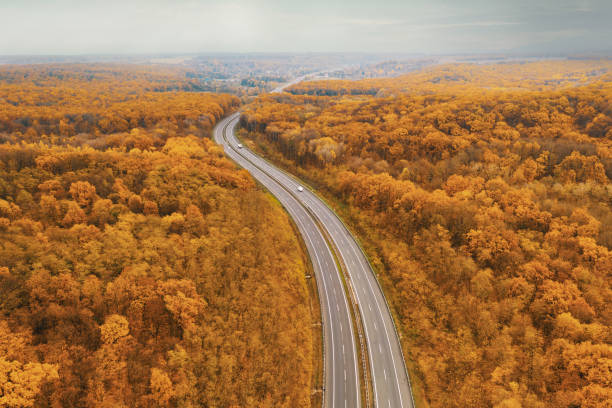 istock Curved freeway facing the horizon amid the yellow autumn forest 1284671188