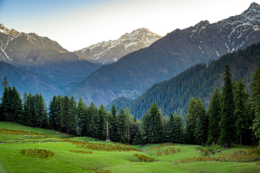 This is the view of scenic meadows in the Himalayas. Peaks & alpine landscape from the trail of Sar Pass trek Himalayan region of Kasol, Himachal Pradesh, India.