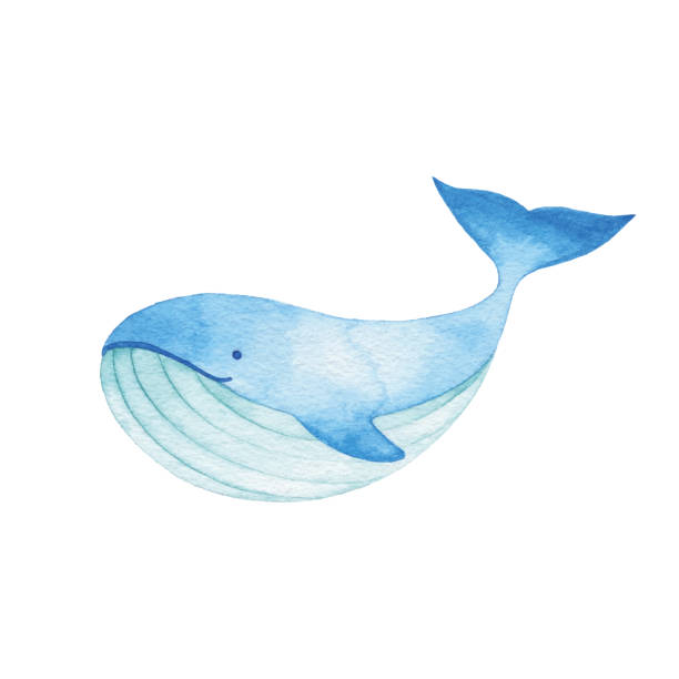 水彩画かわいいブルーホエール - animal large cartoon fish点のイラスト素材／クリップアート素材／マンガ素材／アイコン素材
