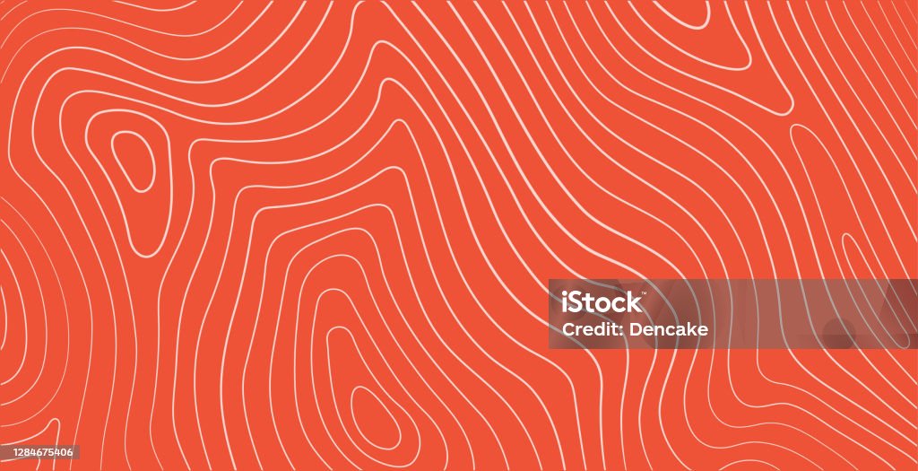 Lachs Filet Textur, Fisch-Muster. Vektorhintergrund mit Streifen Lachs - Lizenzfrei Lineart Vektorgrafik Lachs Filet Textur, Fisch-Muster. Vektorhintergrund mit Streifen Lachs - Lizenzfrei Lineart Vektorgrafik