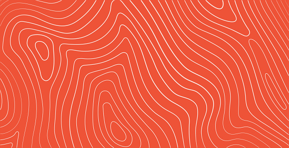 Salmon fillet texture, fish pattern. Vector background with stripes salmon.