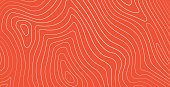 Salmon fillet texture, fish pattern. Vector background with stripes salmon