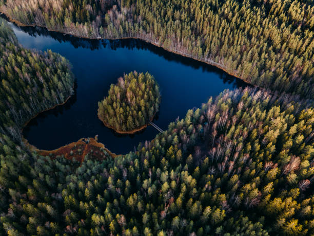 aerial view to finnish landscape in nuuksio national park. - coastline aerial view forest pond imagens e fotografias de stock