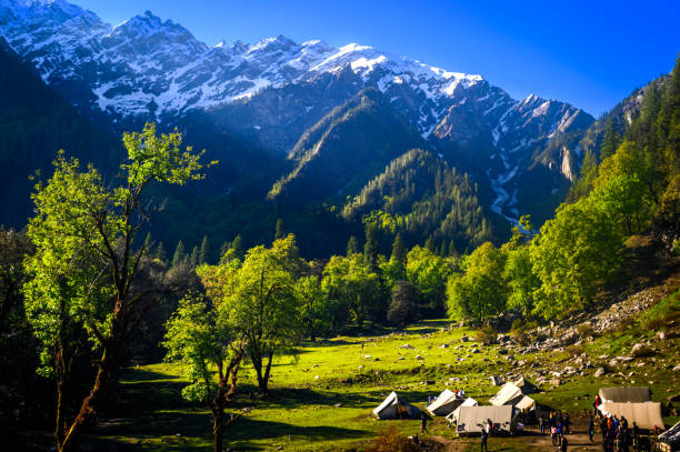 paesaggio montano con erba verde, prati panoramici campeggio picchi dell'himalaya e alpino dal sentiero di sar pass trekking regione himalayana di kasol, himachal pradesh, india. - himalayas foto e immagini stock