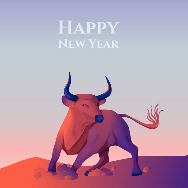 Vector illustration of a bull in a gradient fill style in motion. Symbol of the year according to the Chinese calendar, new year card, banner, for business Vector illustration of a bull in a gradient fill style in motion. Symbol of the year according to the Chinese calendar, new year card, banner, for business bullfighter stock illustrations