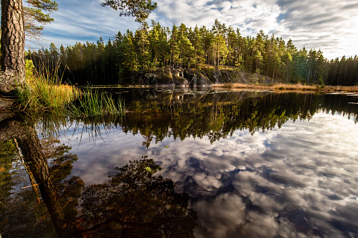 Autumn landscape with reflections in Nuuksio National Park, Finland