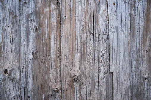 Rough hardwood timber. Wall