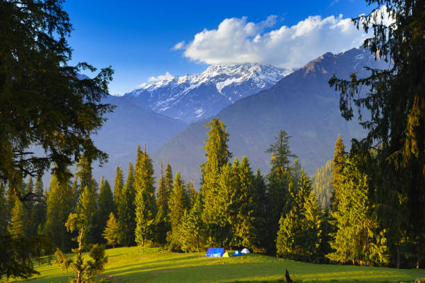 istock Alpine meadow at Himalaya 1284681330