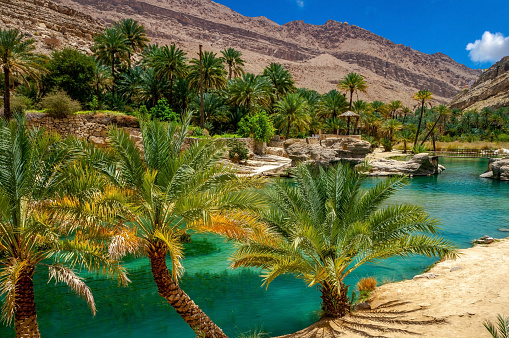 Oasis del desierto en Omán photo