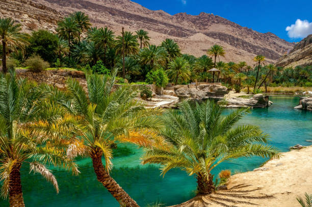 Desert oasis in the Oman Beautiful view of a lake in the barren mountains riverbed stock pictures, royalty-free photos & images