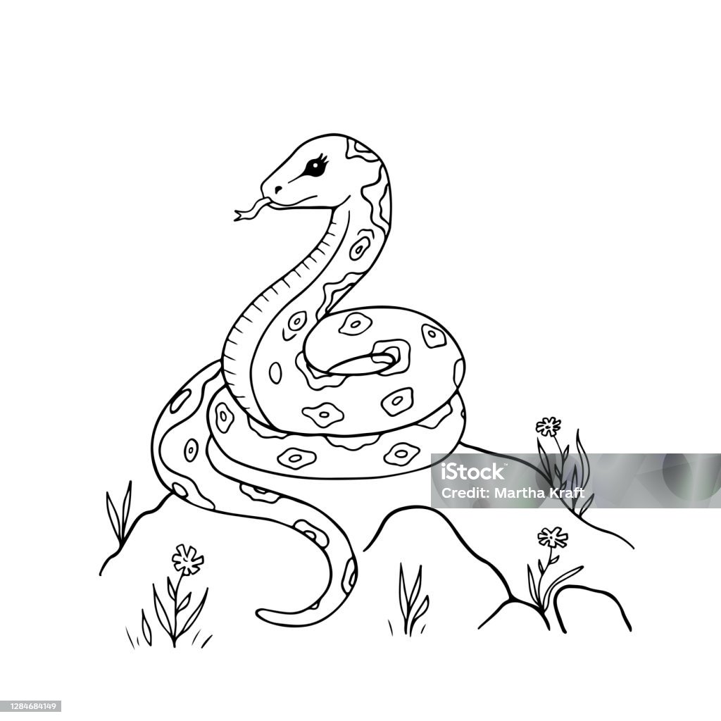 Desenho De Página Para Colorir Isolada Uma Cobra Terrestre