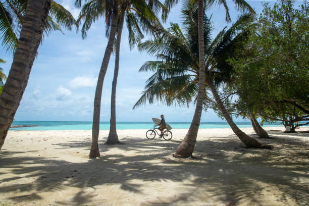 istock Cruisin through the palm trees 1284685747