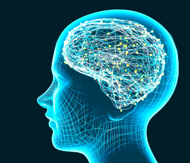 istock Brain development in children and teens. Stimuli and ideas. How neurons and synapses work. 1284688784