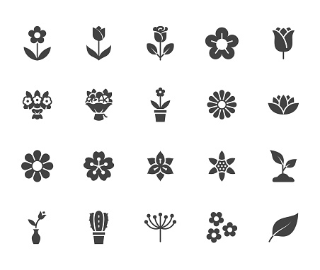 Flower silhouette icon set. Rose, tulip in vase, fruit bouquet, spring blossom, cactus, chamomile, sakura minimal vector illustration Simple black solid glyph signs for flowers delivery application.