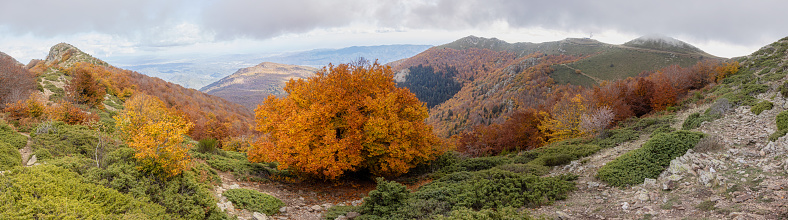 Panorama picture of Spanish Montseny Mountain in autumn time