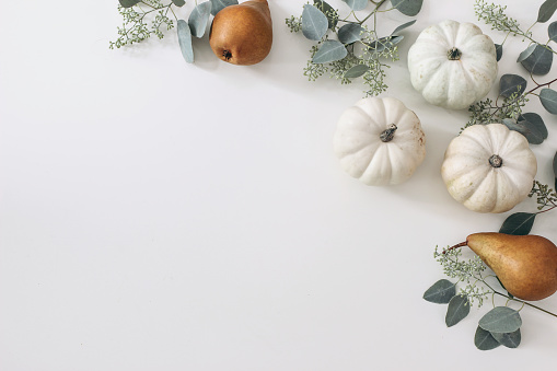 Autumn harvest frame, web banner. Pear fruit and white pumpkins isolated on white table background. Fall, Thanksgiving pattern. Flat lay, top view, garden crop.