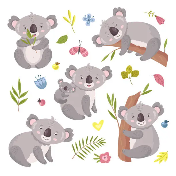 Vector illustration of Koala bear. Australia animal, baby hugging mom. Isolated koalas on tree, flowers and nature elements. Vector exotic cuddly characters set