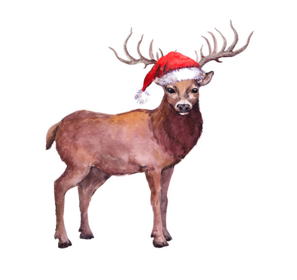 istock Deer in red santa hat. Watercolor for Christmas 1284698023