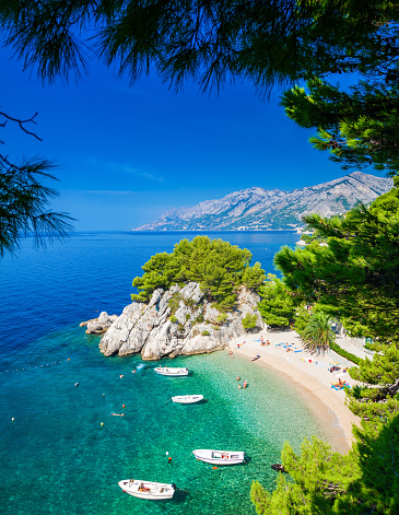 the small beautiful Podrace beach in Brela through pine trees, Makarska Riviera, Croatia