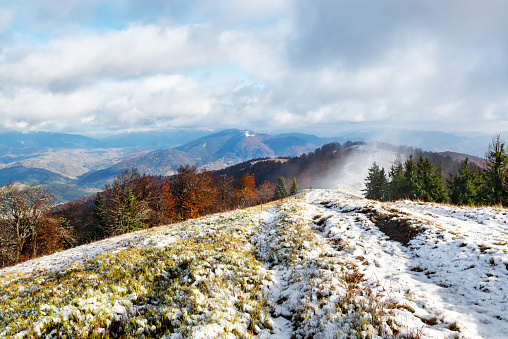 Beautiful autumn and winter meeting, a landscape with first november snow in the mountains with red colored trees