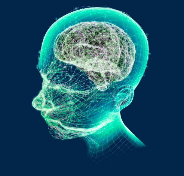 istock Brain development in children and teens. Stimuli and ideas. How neurons and synapses work. 1284704114