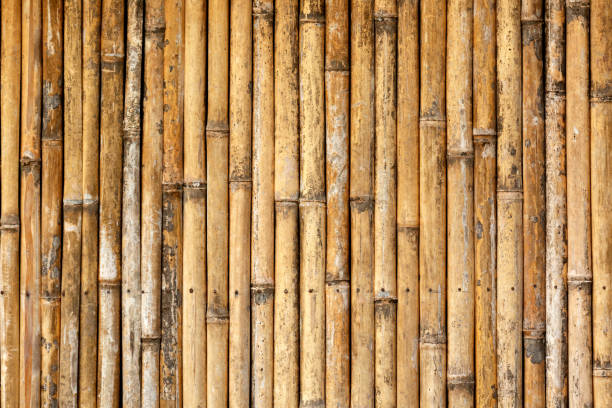 nahaufnahme von bambus holz hintergrund textur - construction material wood wood grain timber stock-fotos und bilder