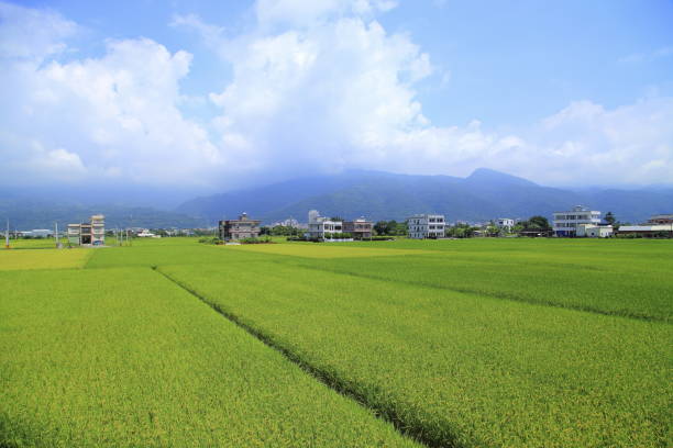 beauty of Yilan Taiwan