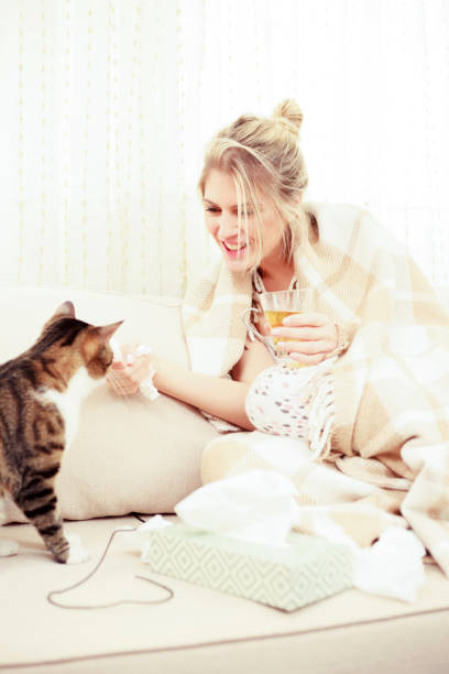 아픈 젊은 여자 재생 와 그녀의 고양이 에 a 소파 - illness pets symptoms blanket 뉴스 사진 이미지