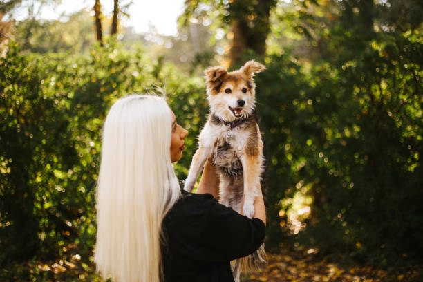 istock I love my dog ​​a lot 1284711807