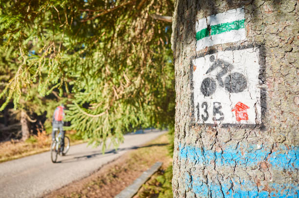 istock Marked bike and walking trail on a tree in Izera Mountains. 1284711954