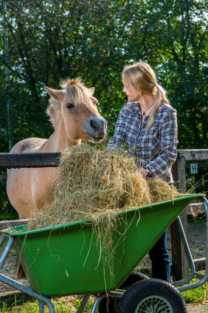 istock Woman feeding her horse 1284712016