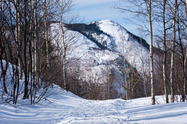Winter trail in the Grands Jardins national park (SEPAQ), Quebec, Canada