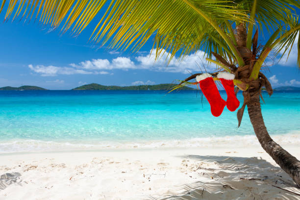 istock Palm tree with Christmas stockings on a tropical beach 1284715212