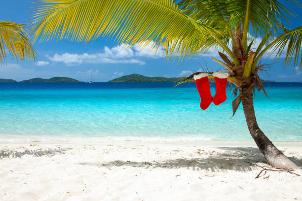 istock Palm tree with Christmas stockings on a tropical beach 1284715217