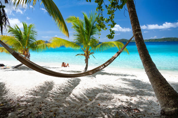 istock Woman on palm tree filled beach in the Caribbean 1284715251