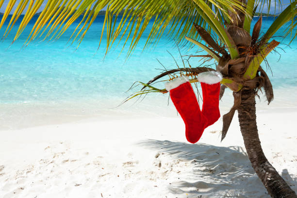 istock Palm tree with Christmas stockings on a tropical beach 1284715268