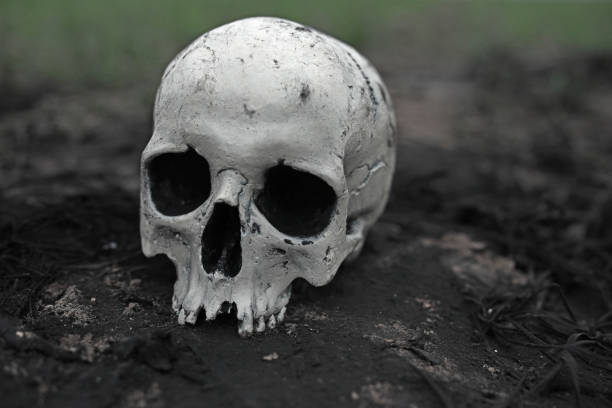 istock Human skull lies on ground. 1284717271