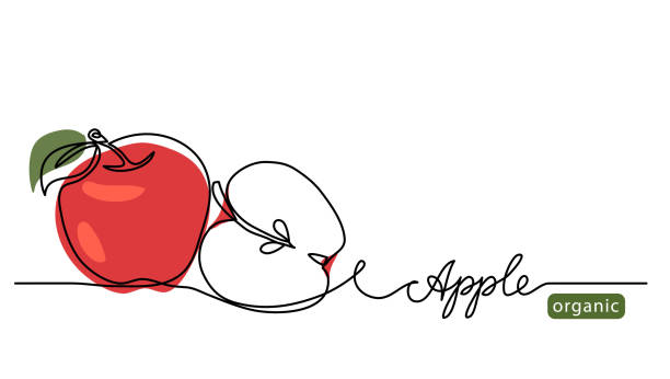 빨간색 사과 벡터 그림. 글래싱 유기농 사과와 함께 한 연속 라인 드로잉 아트 일러스트레이션 - apple stock illustrations