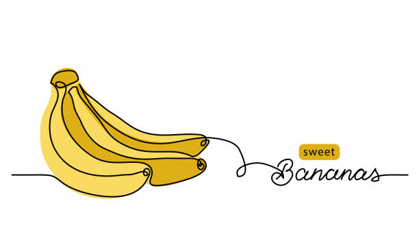 Bananas bunch vector illustration. One continuous line drawing art illustration with lettering sweet bananas Bananas bunch vector illustration. One continuous line drawing art illustration with lettering sweet bananas. banana borders stock illustrations