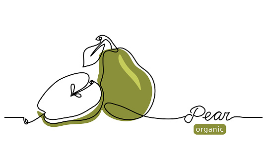 Pear minimal vector line illustration. Single lineart drawing illustration with lettering organic pear.