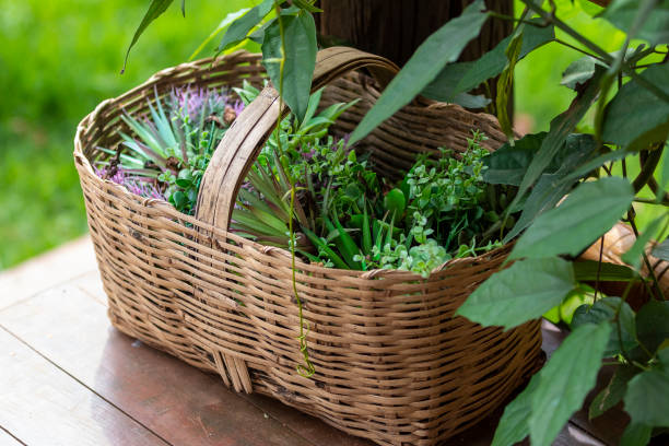 istock Decorative basket with vegetables and leaves from Minas Gerais - Brazil, 1284717895