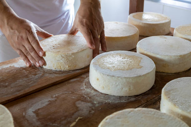 Artisanal cheese from Serra da Canastra, Minas Gerais, Brazil, award-winning cheeses, stock photo