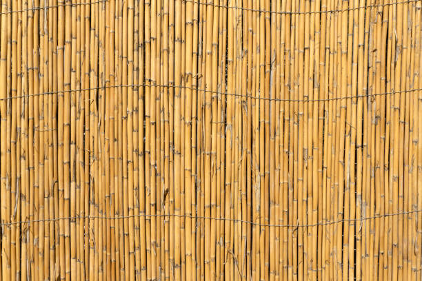 istock Bamboo background. Old bamboo fence 1284718812