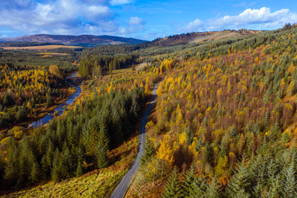 High angle drone view of a forest road in Dumfries and Galloway south west Scotland The view from a drone of a forest road and river in an area of pine forest in Dumfries and Galloway south west Scotland. The image was captured on a bright autumn morning and autumn leaf colours are starting to show. Galloway Hills stock pictures, royalty-free photos & images