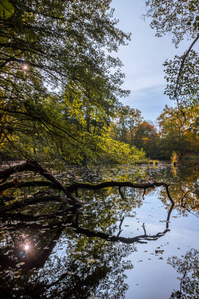 istock Autumn colors in the park 1284721643